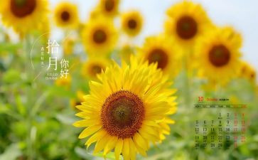 幼儿中班10月工作总结5篇