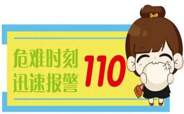 110教育整顿工作总结8篇