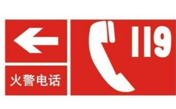 119作文300字优质6篇