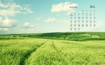 大班12月计划5篇
