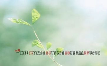 幼儿园大班12月教育心得5篇