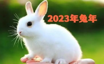 2023年安全专项整治工作总结8篇