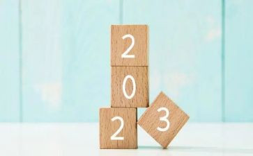 2023儿科医生年终总结7篇