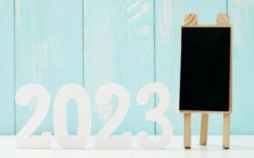 2023年小学数学校本研修个人总结范文5篇