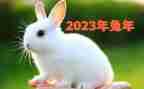总结2023年工作计划模板8篇