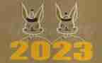 护士2023年工作总结及2023年工作计划优质6篇