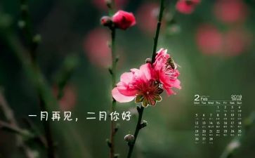 教师2月份工作总结8篇