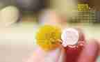 2月活动工作总结8篇