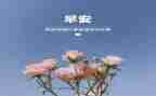 3月安全生产工作总结6篇