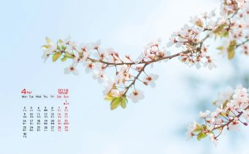 幼儿园4月份工作总结5篇