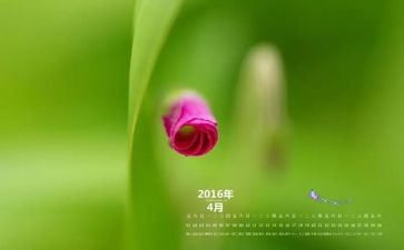 4月工作计划精选7篇