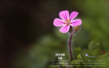 4月份心得5篇