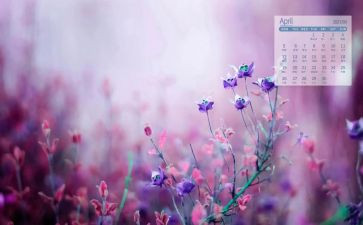 4月个人总结7篇
