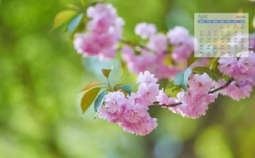 幼儿园4月安全工作总结5篇