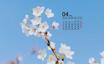 4月份的工作计划最新6篇