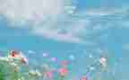 4月份大班月计划6篇