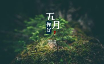 园务工作总结5月总结参考6篇