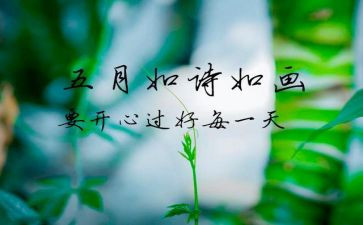 园务工作总结5月总结模板5篇