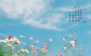 6月销售工作计划7篇