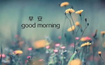 8月售工作总结6篇