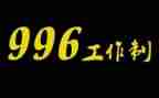 996作文800字优质8篇