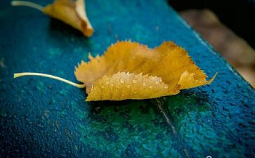 幼儿园班级9月工作计划8篇