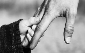 给爸爸的信读后感通用8篇