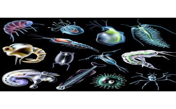 生物教学培训心得6篇