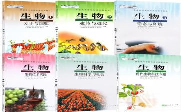 高中生物教师教学心得8篇