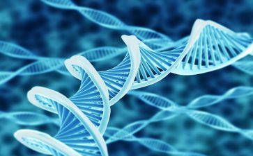 2024年生物教学计划最新7篇