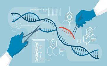 生物组学期工作总结5篇