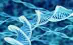 2024年生物教学计划最新7篇