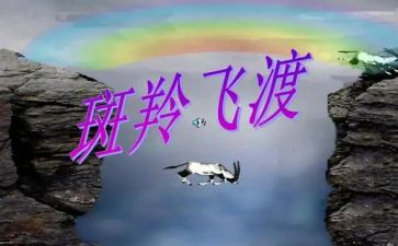 斑羚飞渡读后感精选7篇