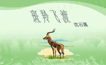 斑羚飞渡读后感推荐6篇