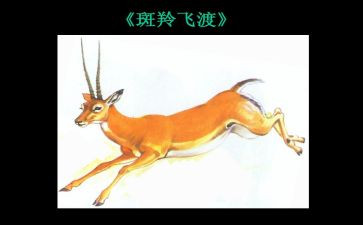 斑羚飞渡读后感优秀8篇
