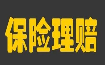 干保险工作总结推荐8篇