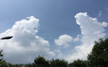 写家乡的路的变化作文5篇