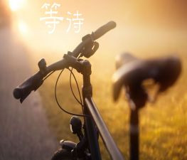 别等失去才珍惜作文7篇