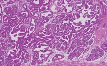 病理科的工作总结推荐8篇