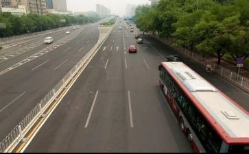 不怕狼的羊作文模板7篇