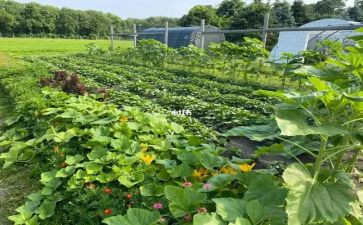 湘菜季度工作总结优秀5篇