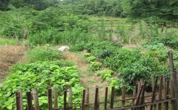 湘菜季度工作总结最新5篇