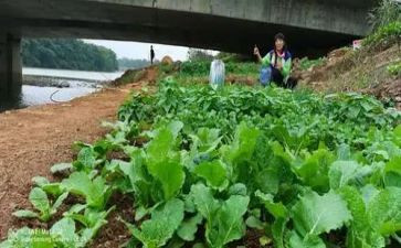 传菜员总结报告5篇