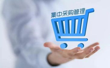 述职报告采购助理5篇