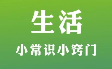 2023常识组工作总结7篇