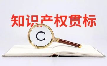 知识产权活动策划7篇