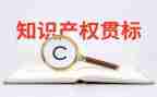 知识产权活动策划7篇