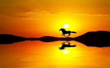 朝阳下的作文模板5篇