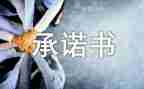 铁路安全承诺书8篇