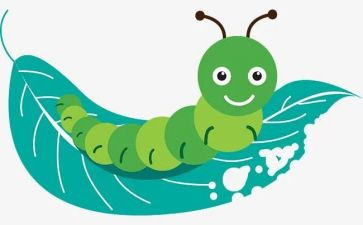 幼儿园《虫儿飞》教案5篇